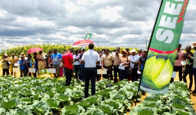 SeedCo Champions Innovation and Farmer Support at Annual Field Day